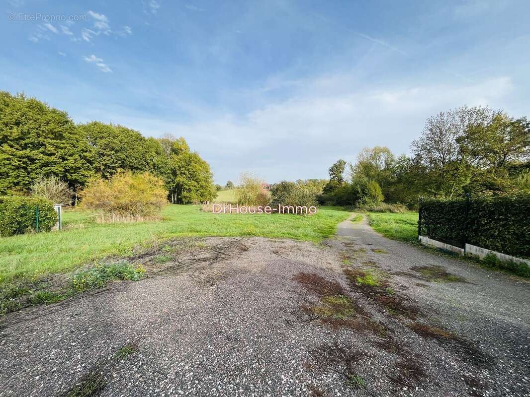 Maison 300 m² à Fontenailles  - photo 27