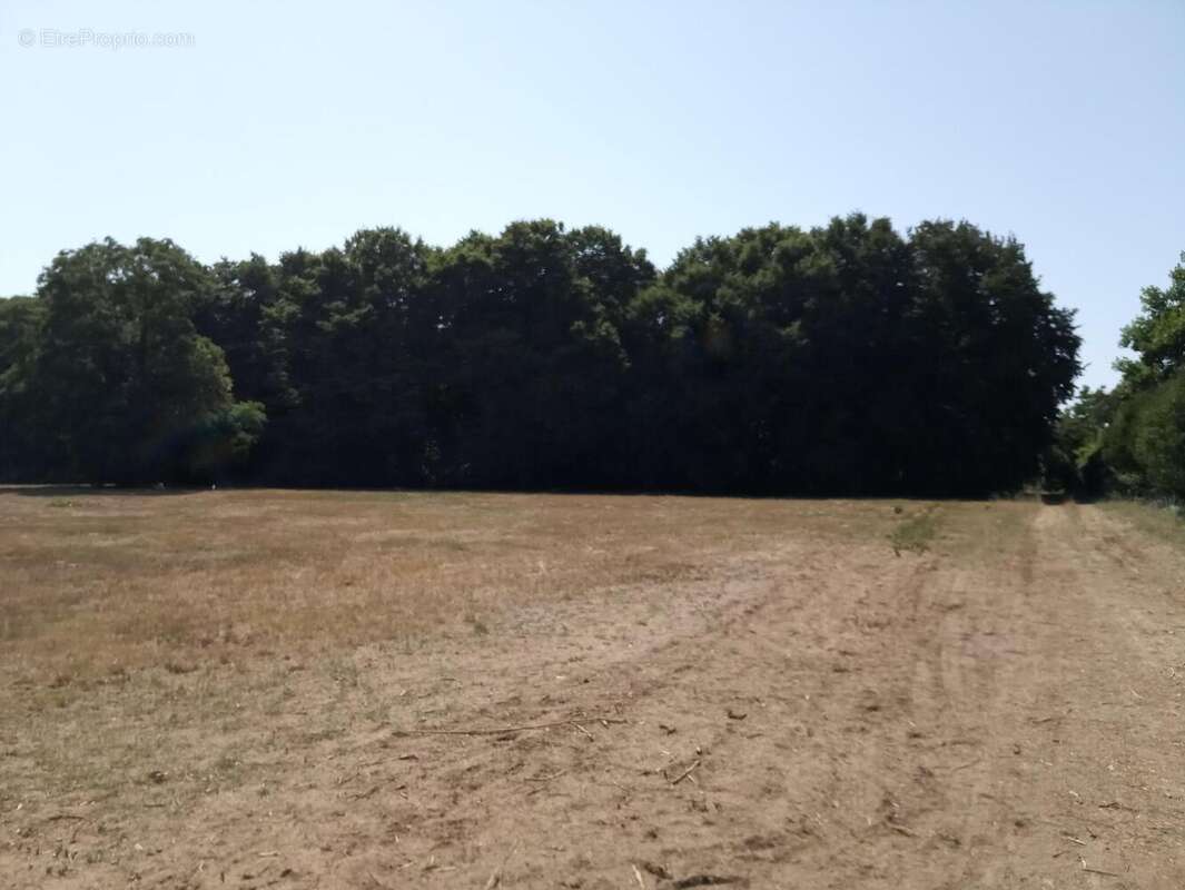 Photo 4 - Terrain à GEMOZAC