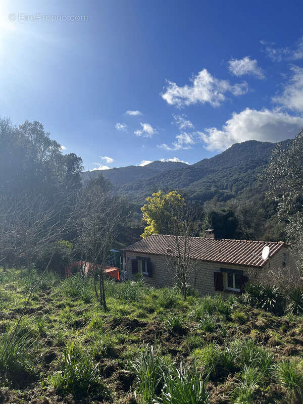 Maison à FORCIOLO