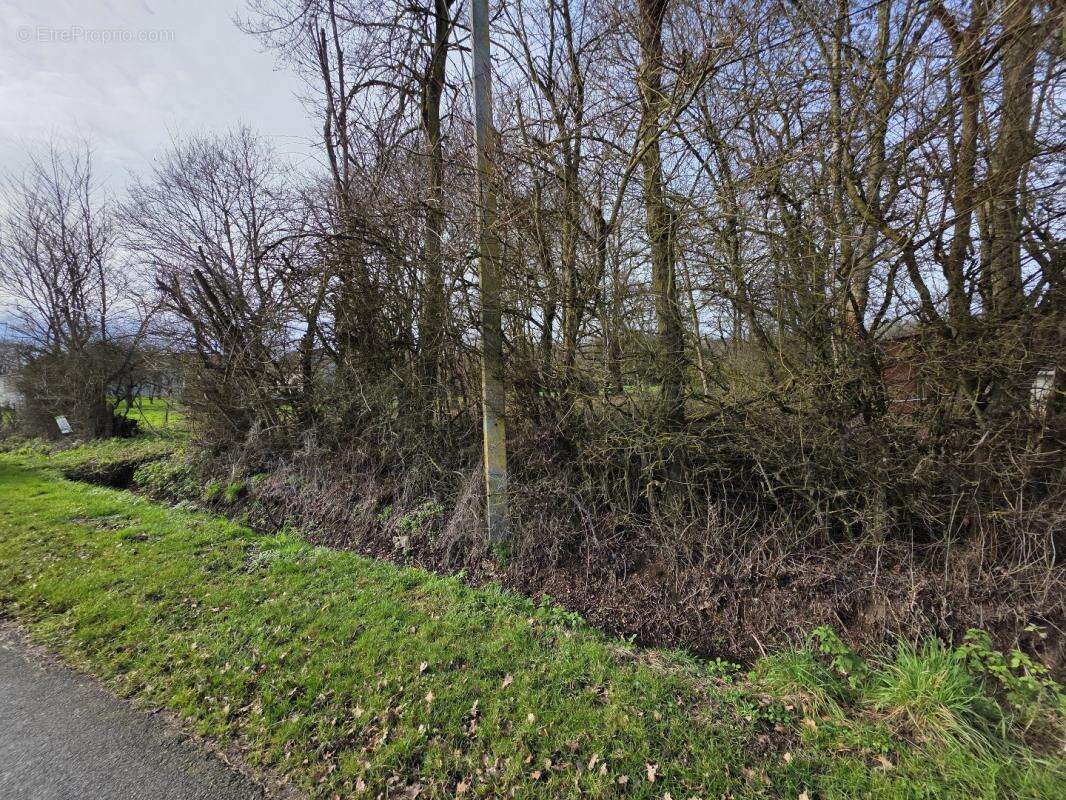 Terrain 1 127 m² à vendre à Dun-Le-Poelier (36210) - photo 7