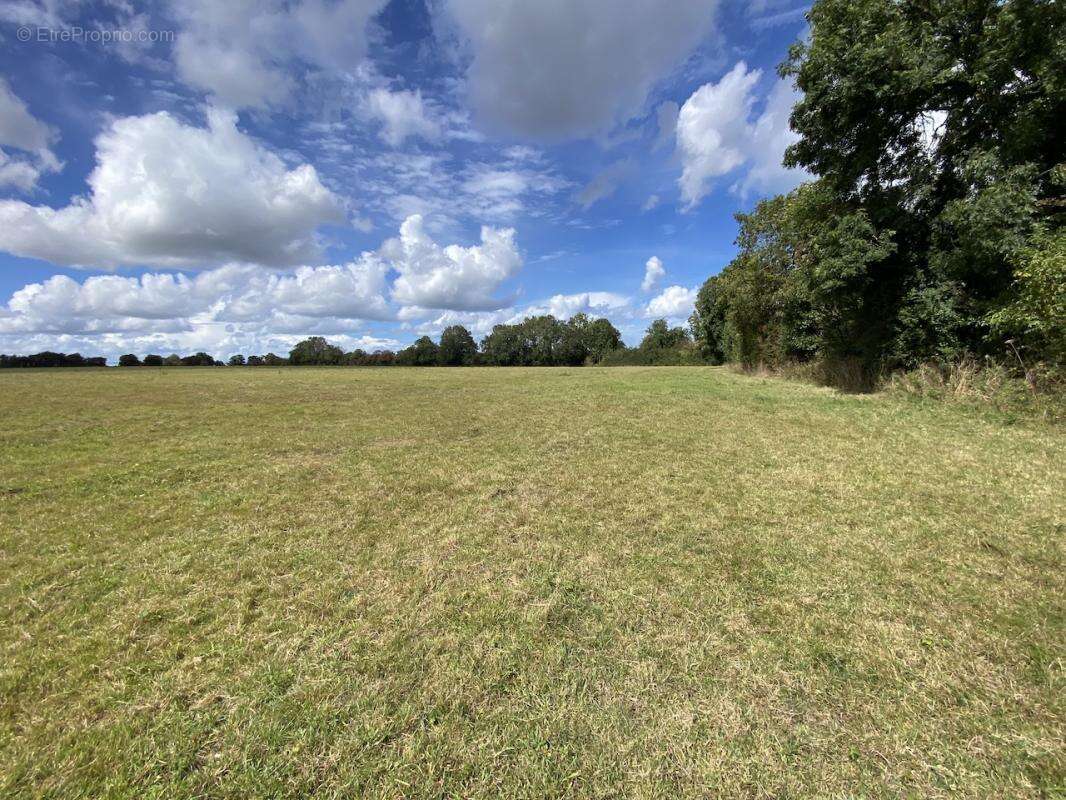 Terrain à BAYEUX