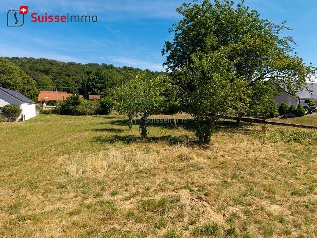 Rare à la vente : parcelle viabilisée de 24 ares sans vis-à-vis - photo 3