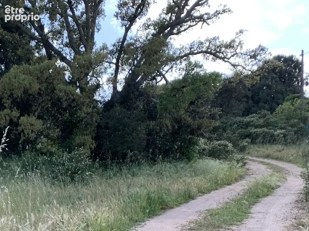 Terrain à bâtir à Porto-Vecchio - photo 3