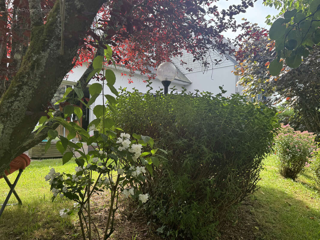 Pavillon sur sous sol Laval - photo 19