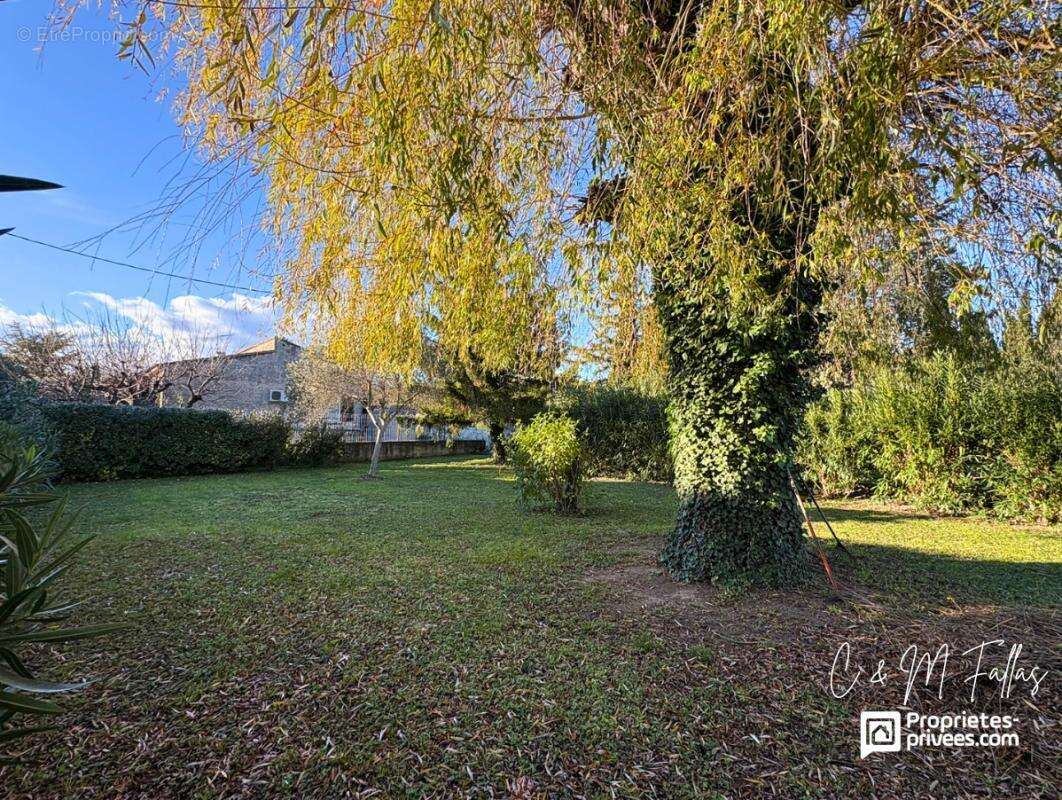 Rare ! Terrain libre constructeur proche centre-village à Entraigues-sur-la-Sorgue - photo 2