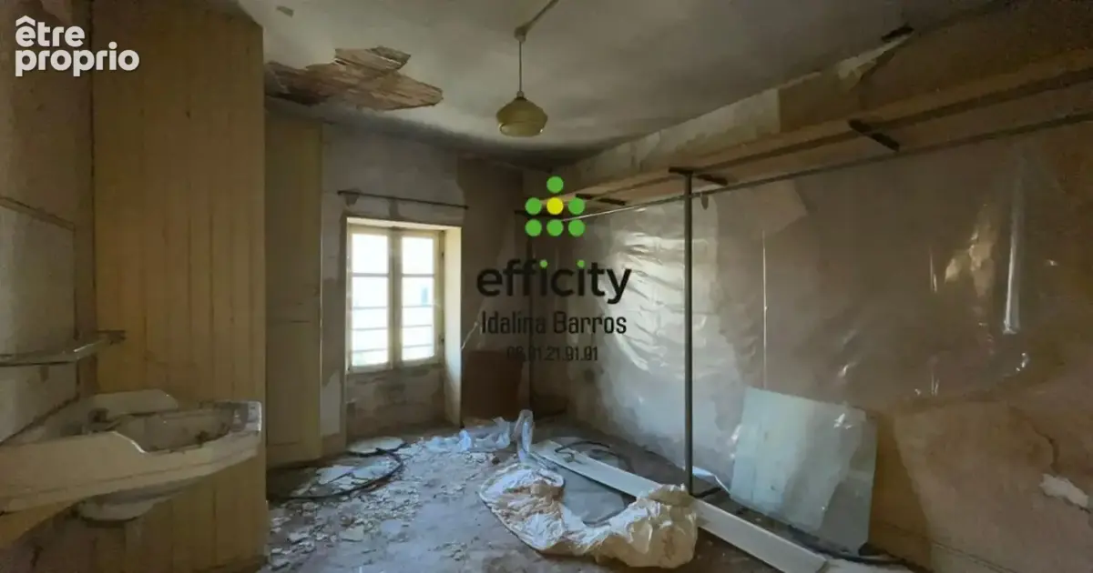Maison 8 pièces 350 m² à vendre à Aigre (16140) - photo 14