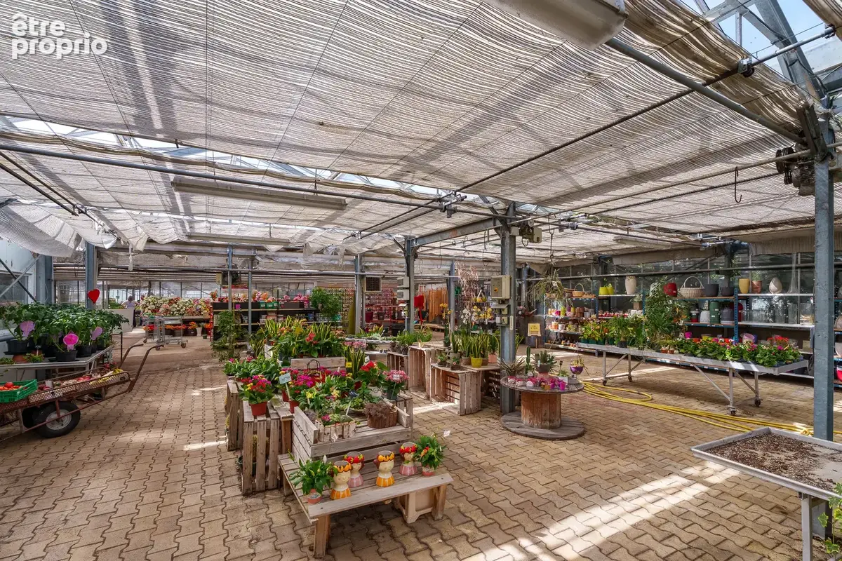 Ensemble horticole en zone UX (hors fonds de commerce)   Un site professionnel à fort potentiel   Montchanin - photo 4