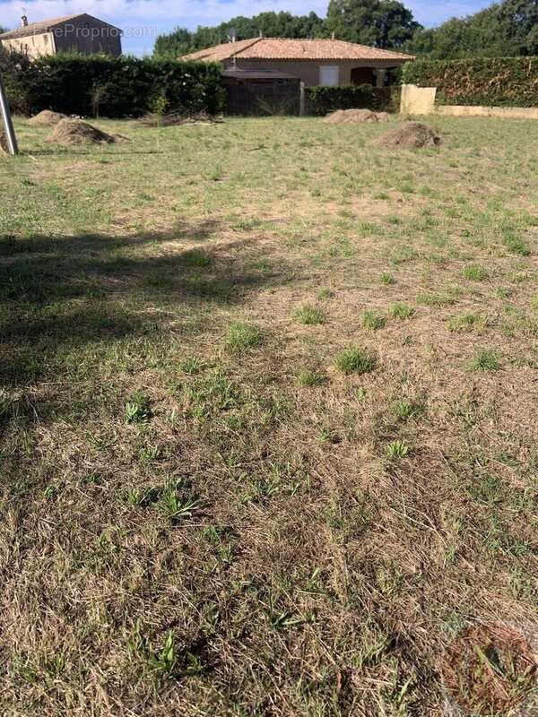 Beau terrain plat constructible de 1200 m² - photo 5