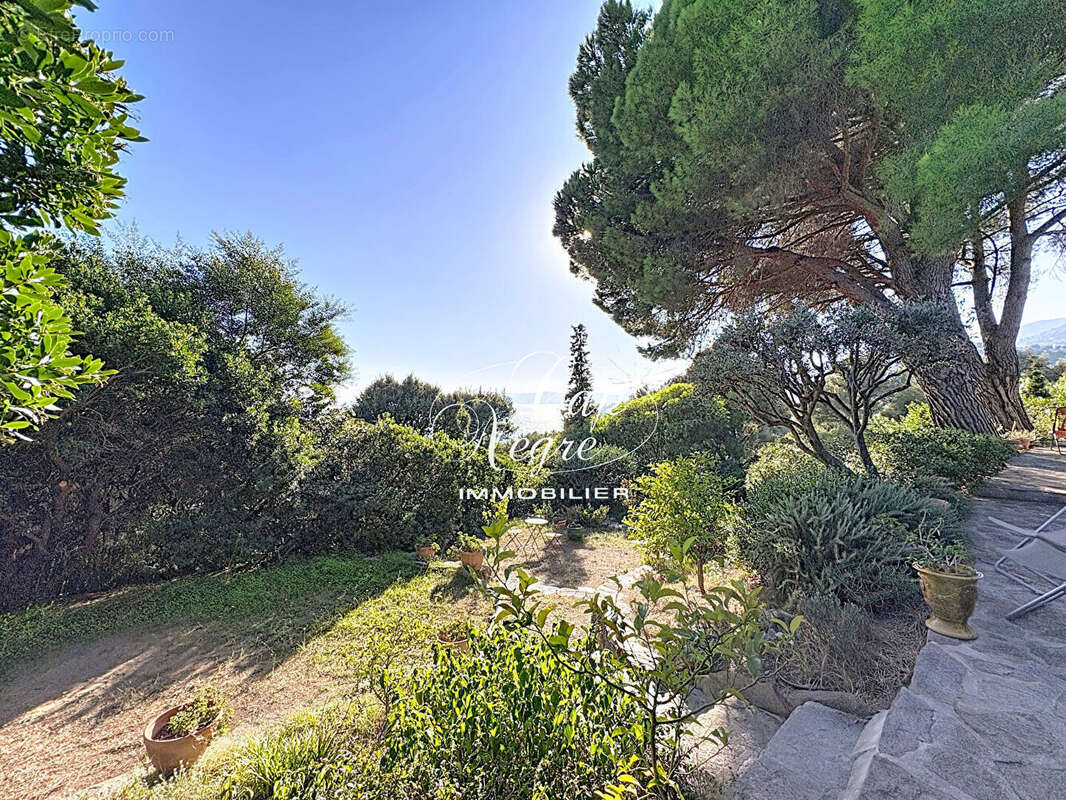 Maison à LE LAVANDOU