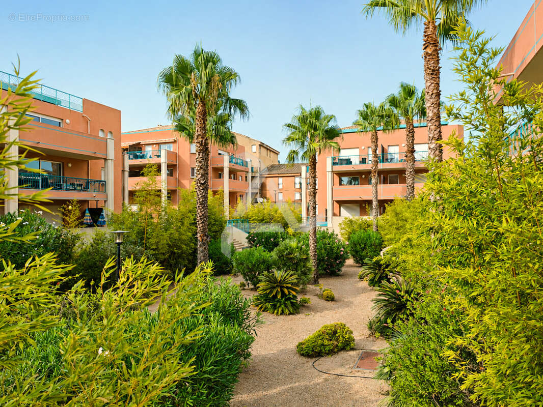 Studio de 27m2 avec terrasse sur le port de plaisance de porto-vecchio - photo 12