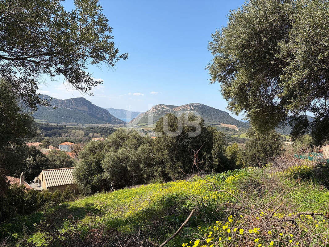 Terrain à PATRIMONIO