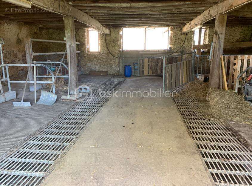 Proche Eauze - Propriété de 13ha en BIO - photo 8