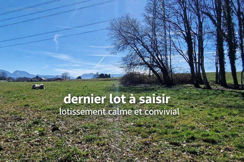 Terrain à CRUSEILLES