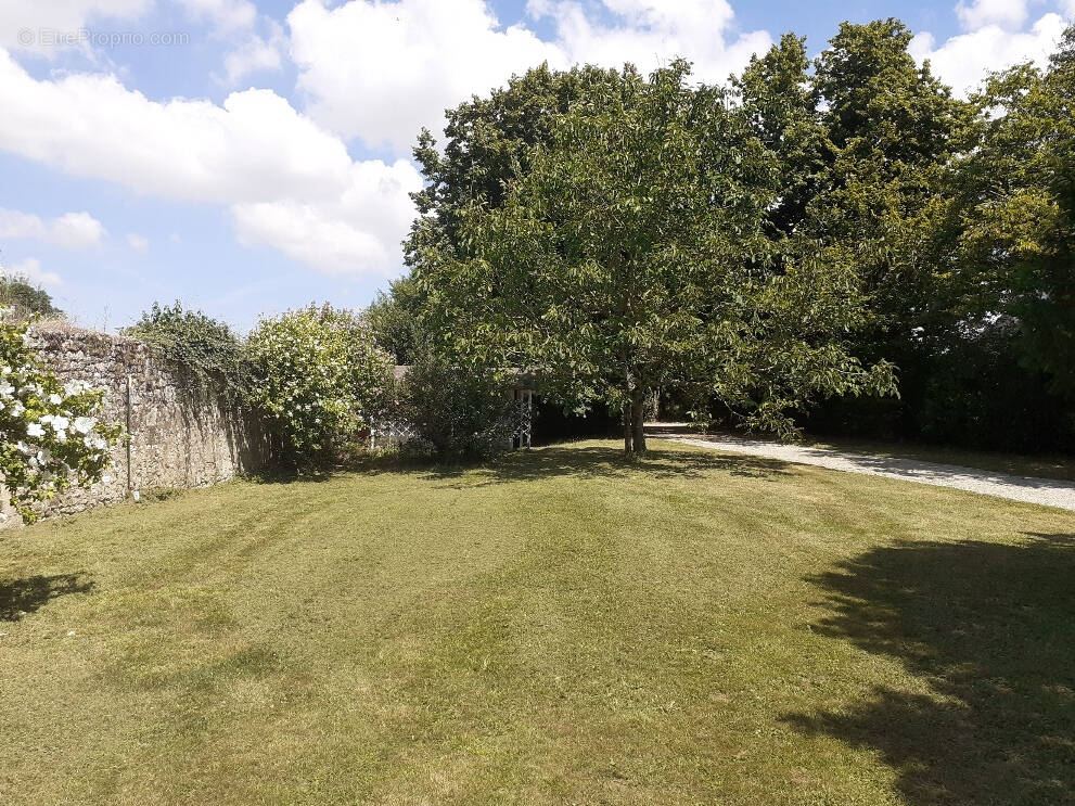Terrain à SAINT-ROMAIN-DE-BENET