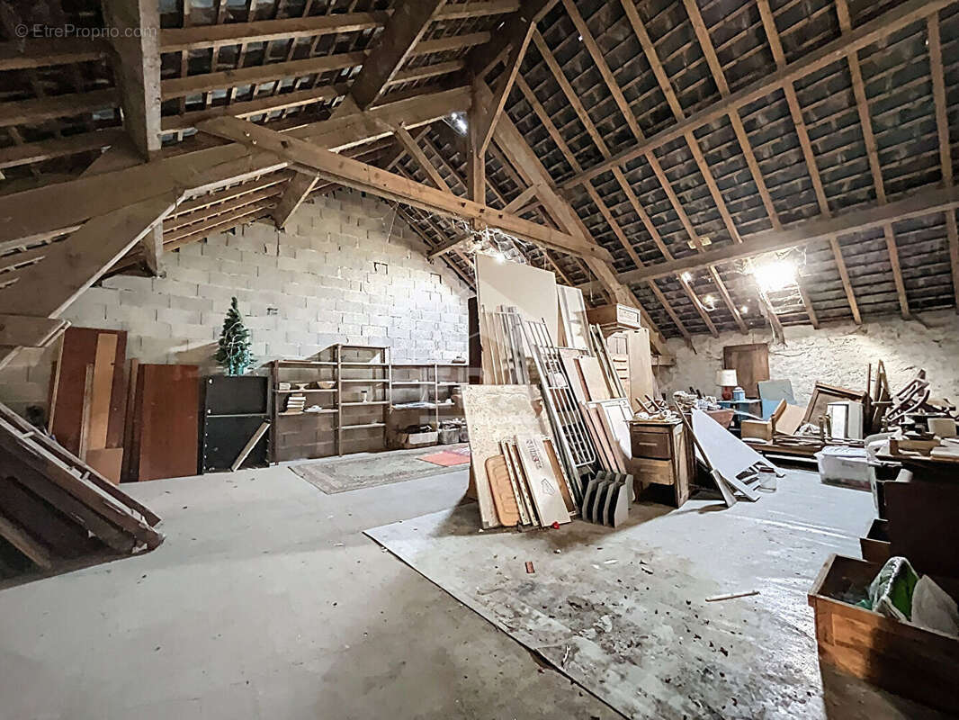 Maison 230m² à boisseaux - photo 7