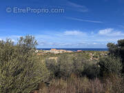 Terrain à SANTA-REPARATA-DI-BALAGNA