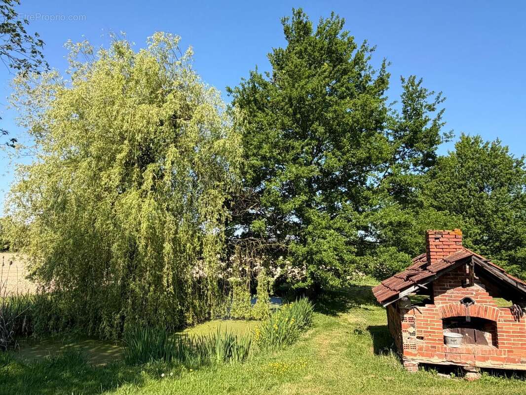 Photo 3 - Maison à LOUHANS