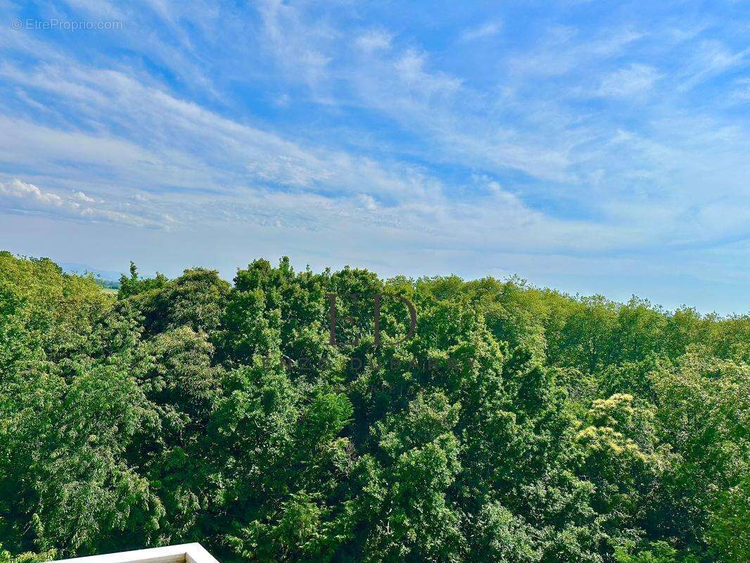 Appartement à ANGLET