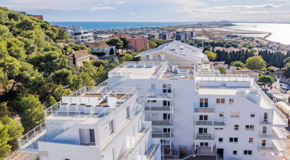 Sète - Face au Bassin de Thau : T4 traversant avec 62 m² de terrasse - photo 11