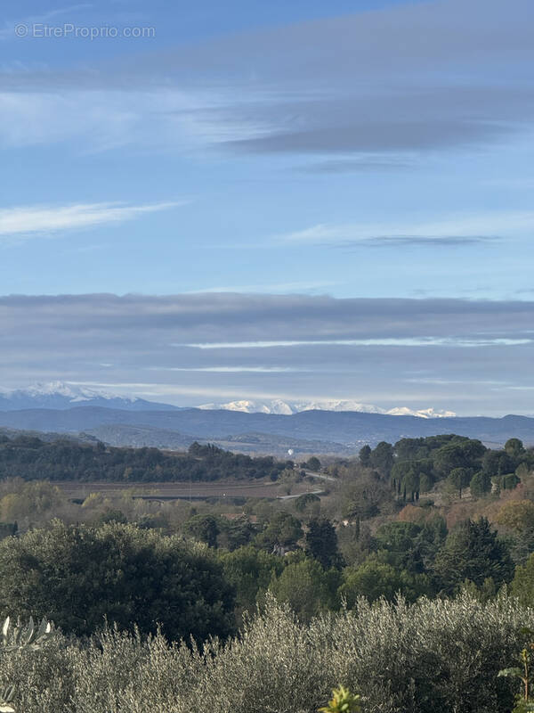 Terrain à VERZEILLE