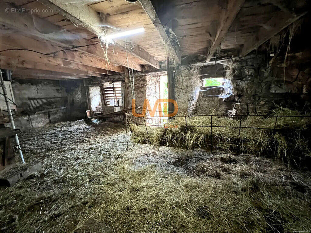 Propriété 54 hectares, rare en Ardèche - photo 23