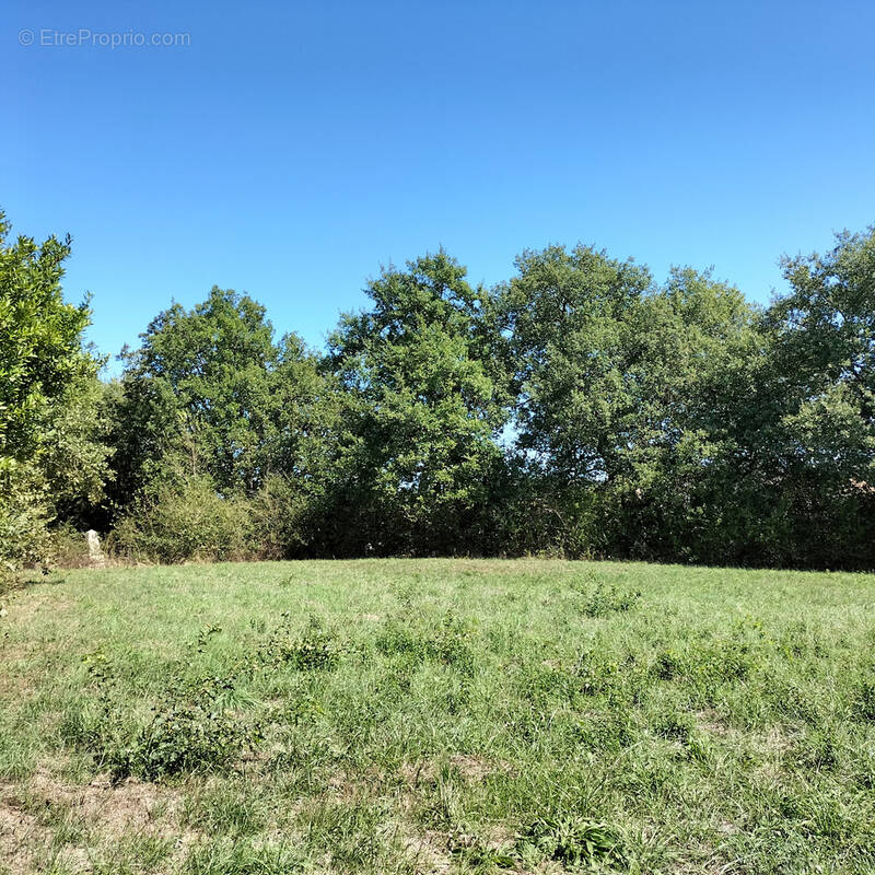 Terrain à SARAMON