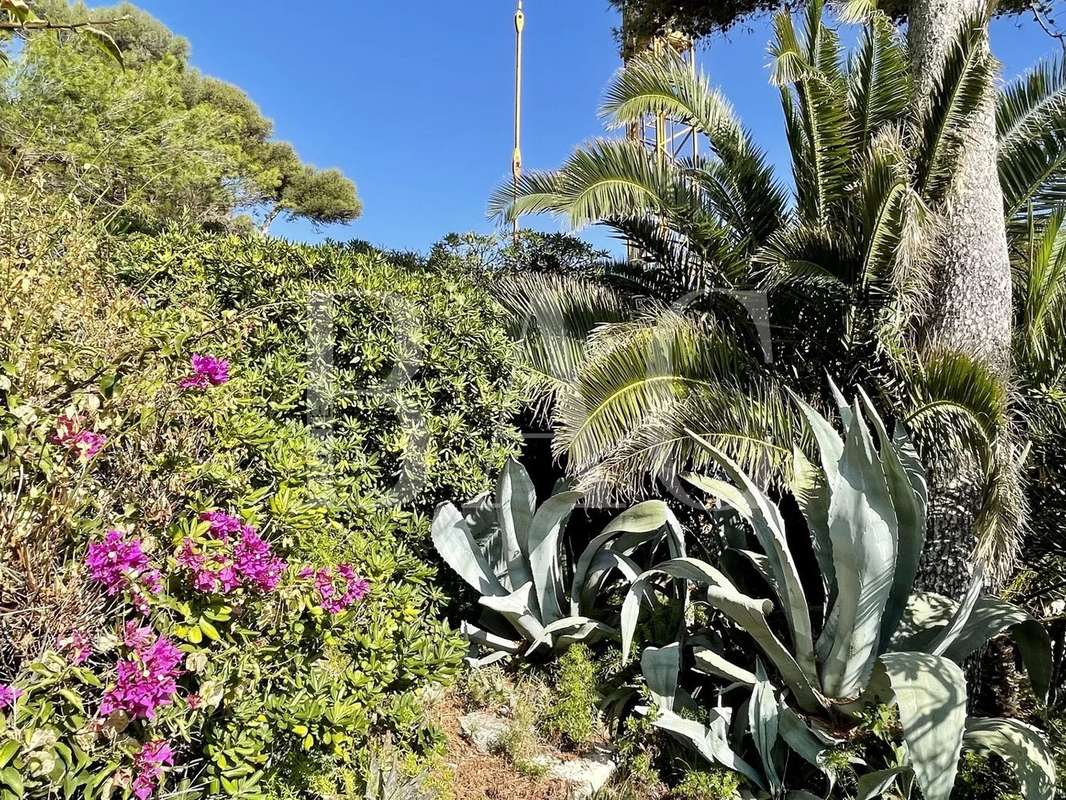 Maison à ANTIBES