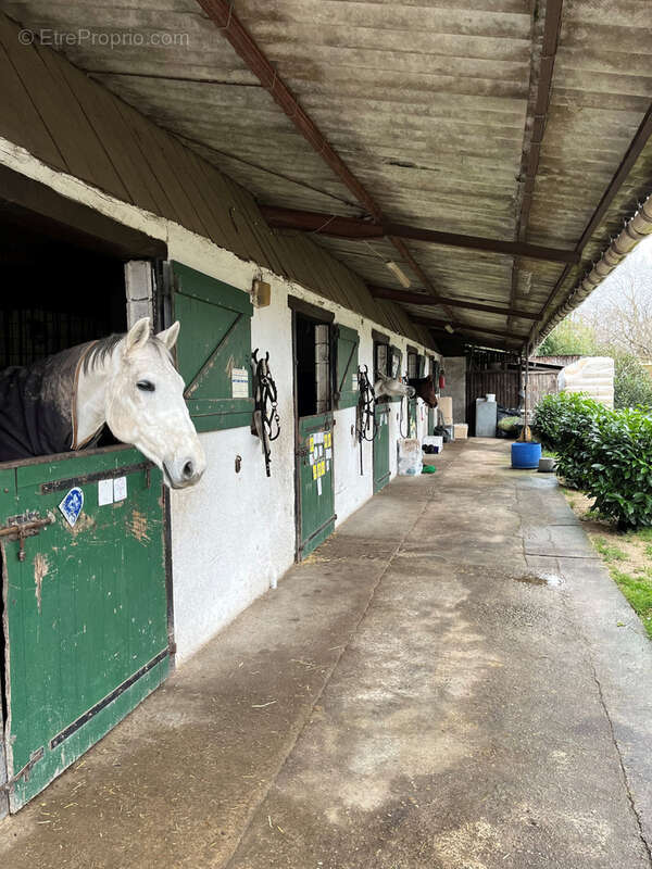 Maison à LIGNY-LE-RIBAULT