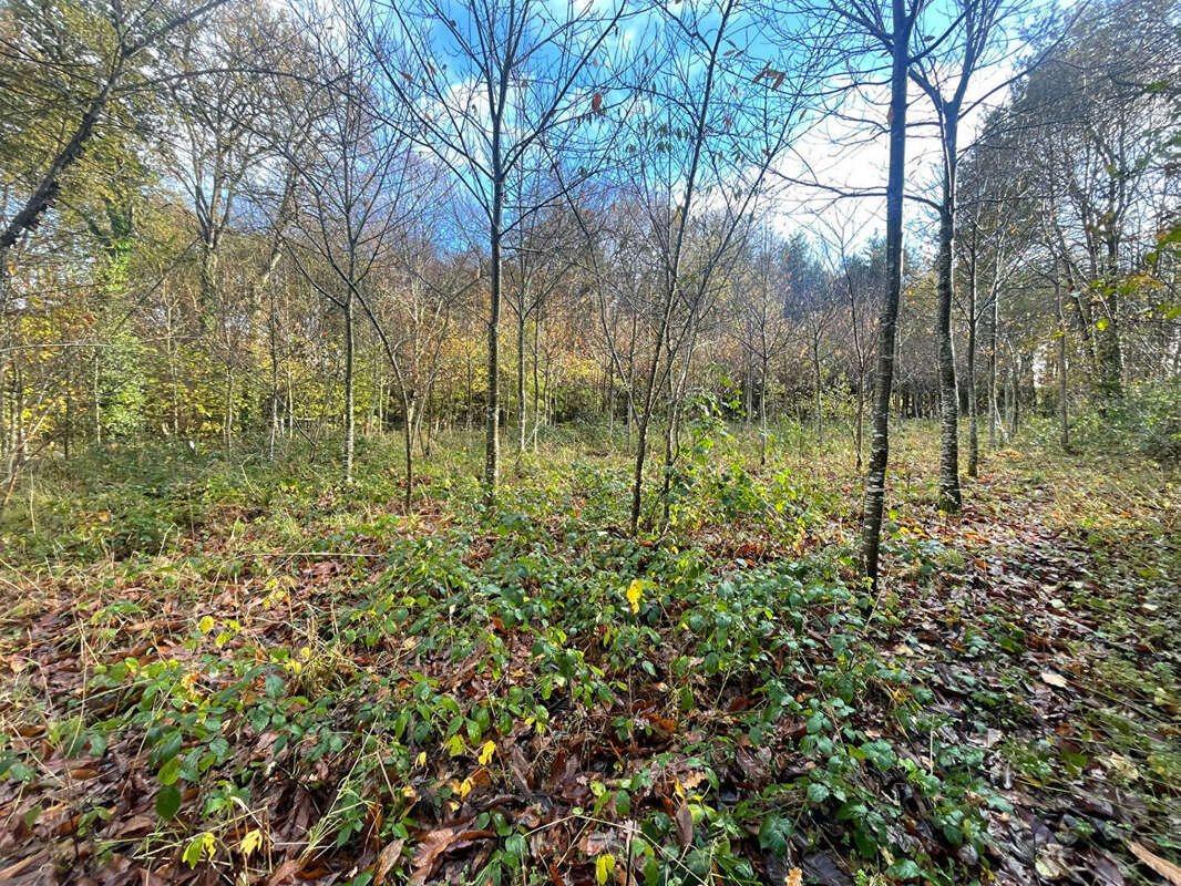 Maison à LE TRONCHET
