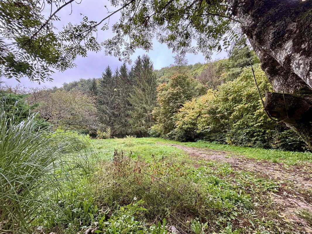 Maison à SAINT-FLORET