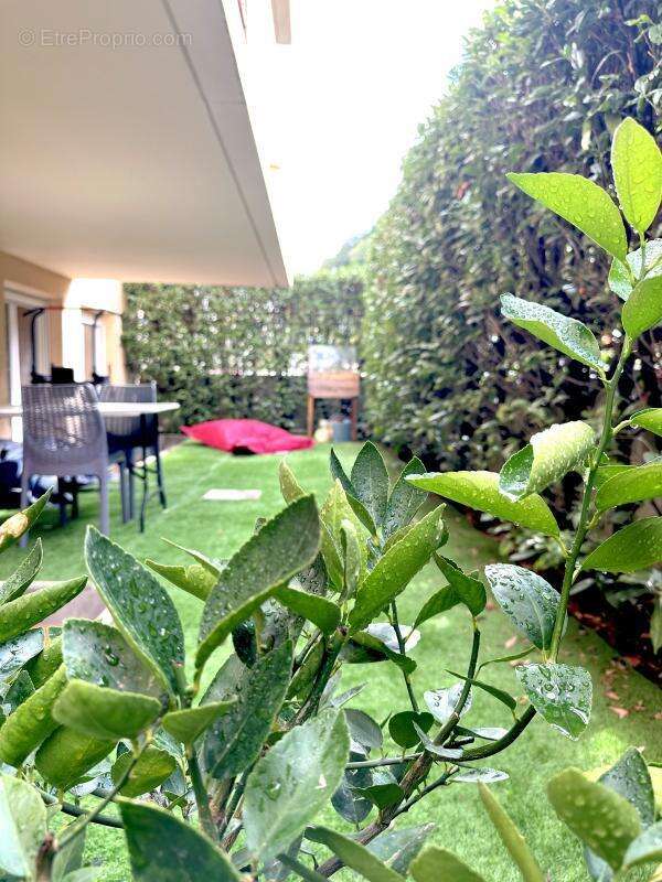 Appartement - photo 19