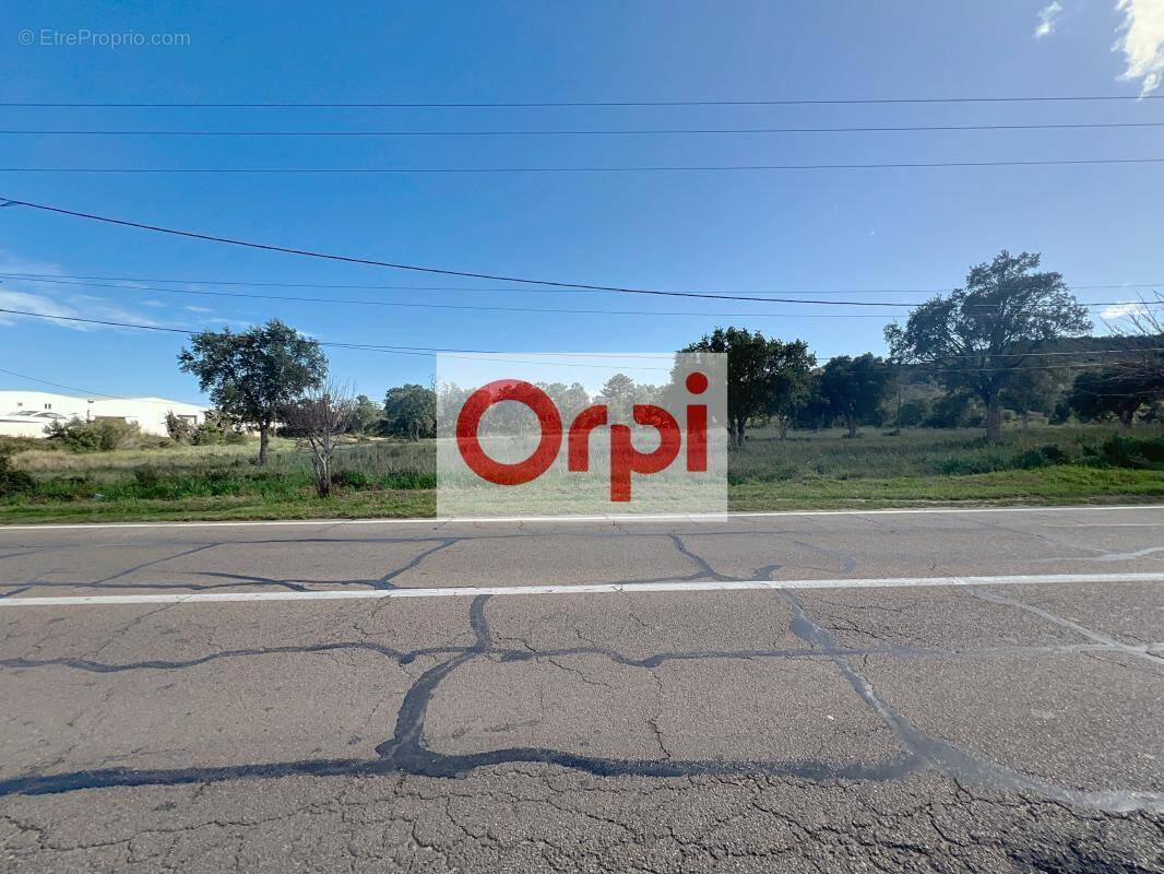 Terrain à PORTO-VECCHIO