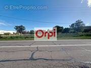 Terrain à PORTO-VECCHIO