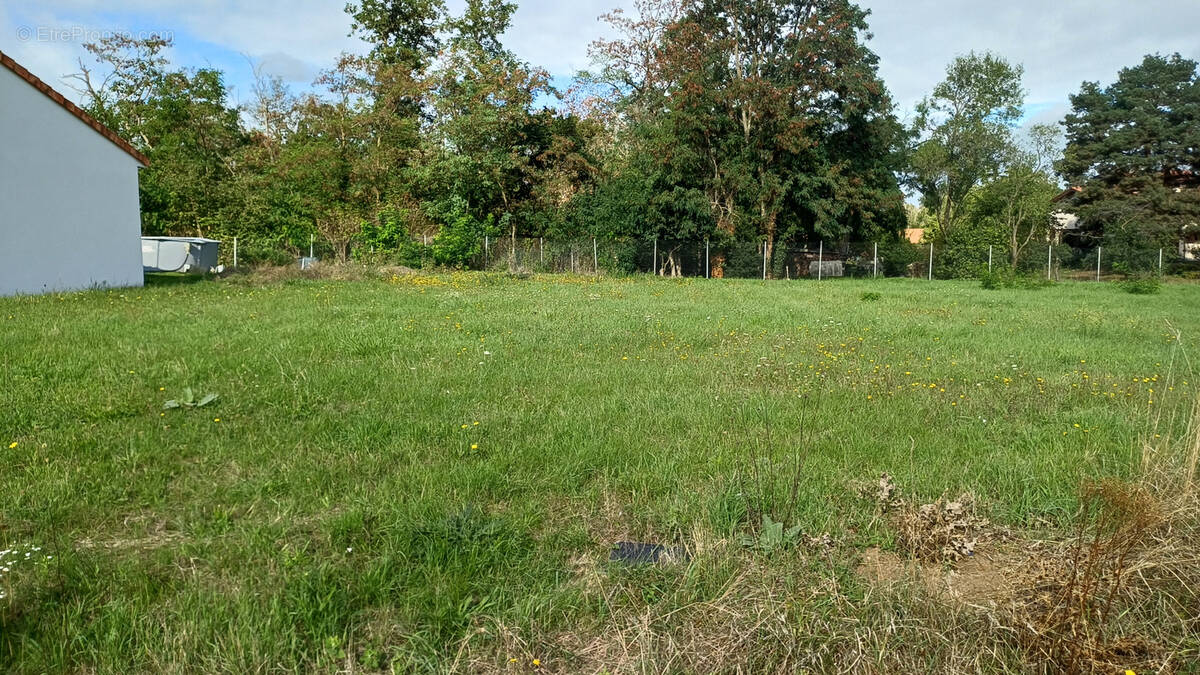 Terrain à LE CHEIX