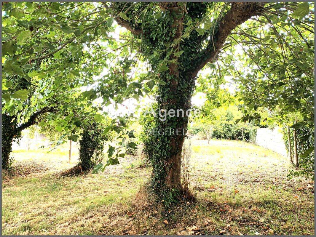 A proximite du centre bourg!!! - photo 2