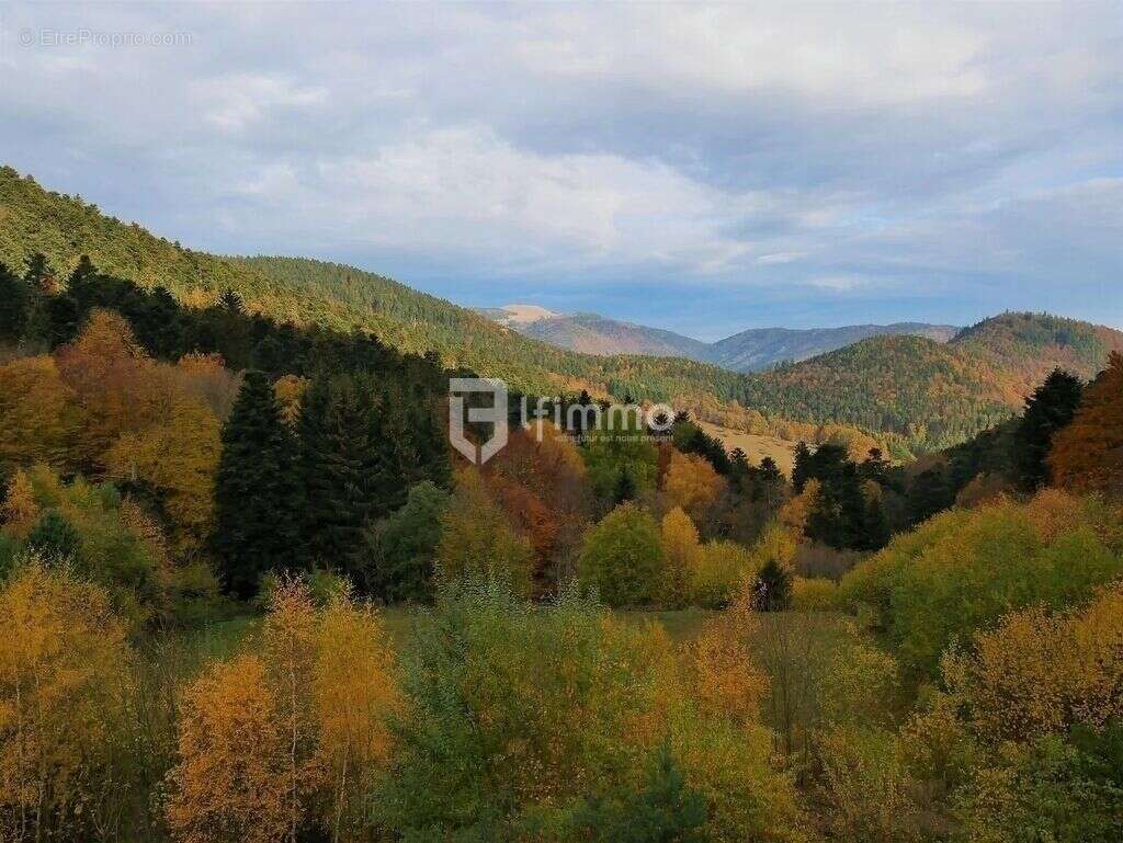 Immeubles 5000 m2 sur 4 ha Murbach - photo 4