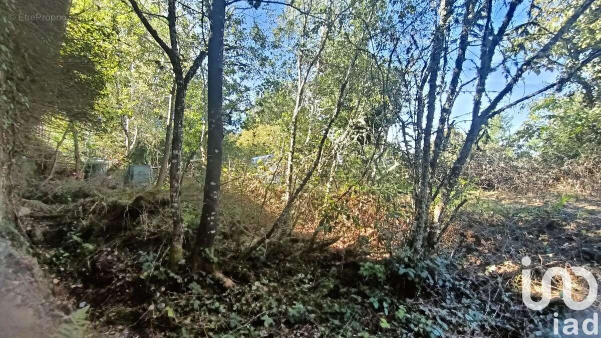Photo 9 - Maison à COMPREIGNAC