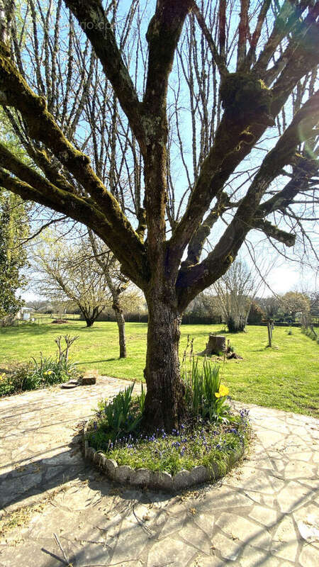 Maison à SAINT-PARDOUX-LA-RIVIERE