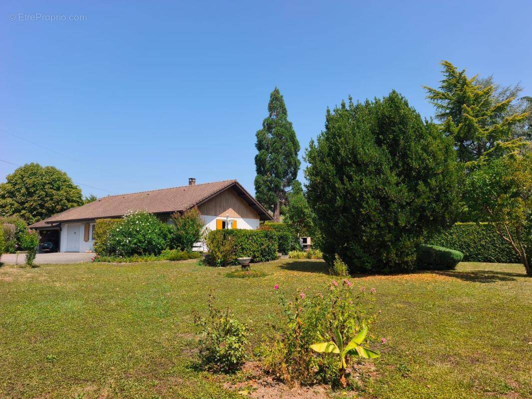 Maison à SALES