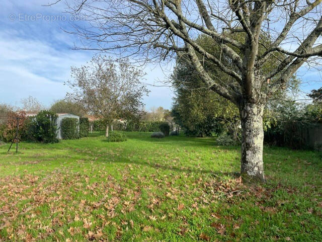 Terrain à CUSSAC-FORT-MEDOC