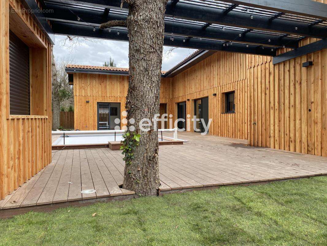 Maison 200 m² à Lege-Cap-Ferret  - photo 3