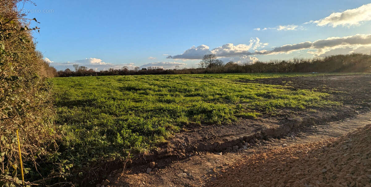 Terrain à FONTENAY-SUR-MER
