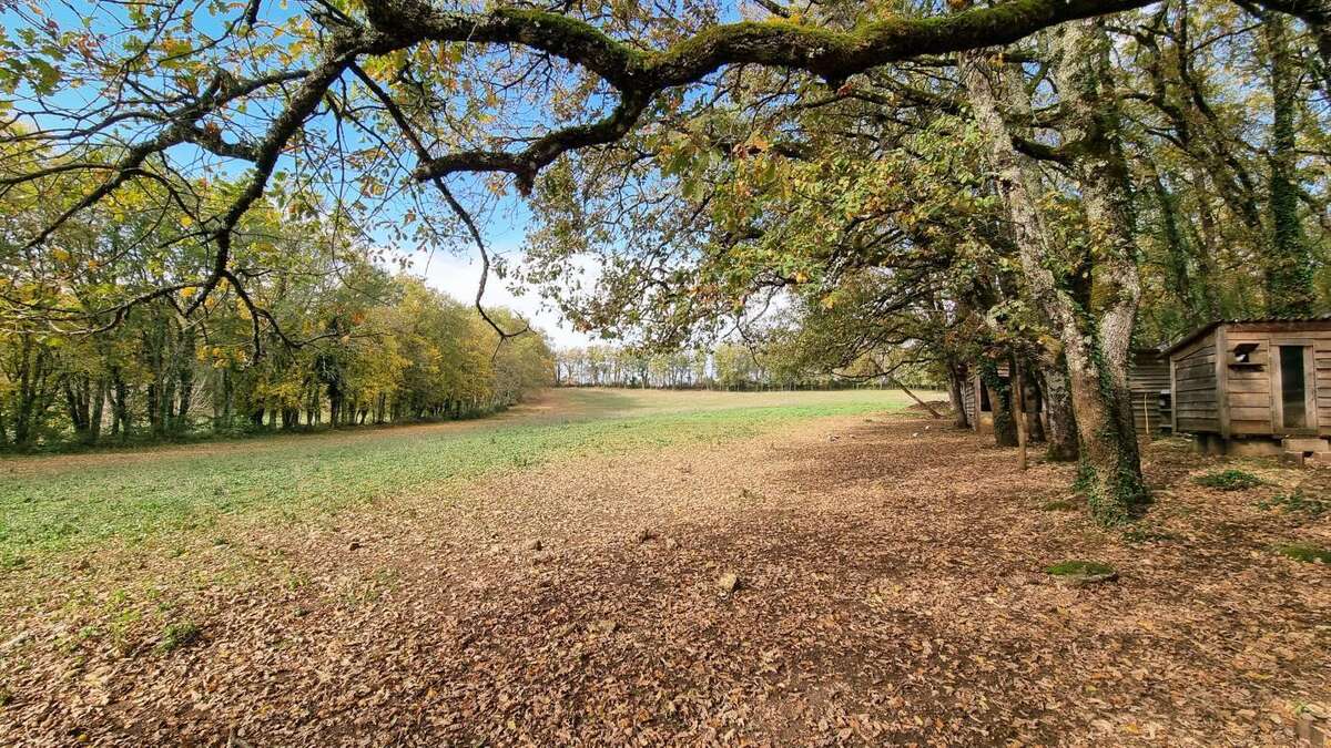 Maison à SAINT-FELIX-DE-VILLADEIX