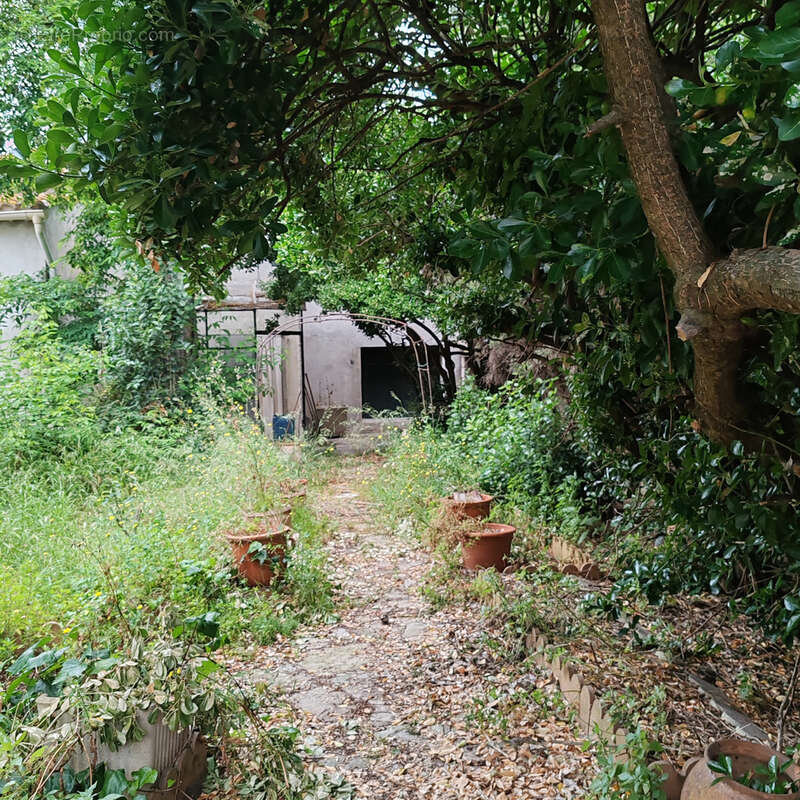 Maison à LESPIGNAN