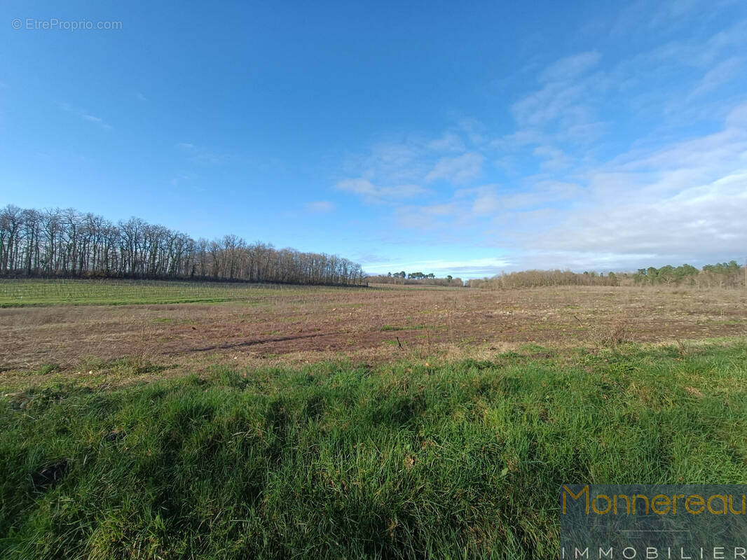 Terrain à SAINT-MAIGRIN