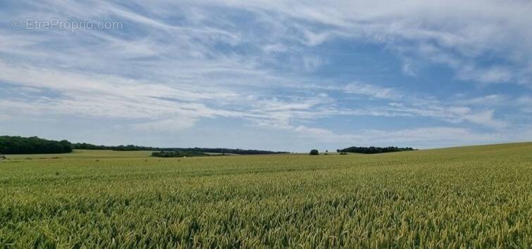 Terrain à SAINT-FUSCIEN