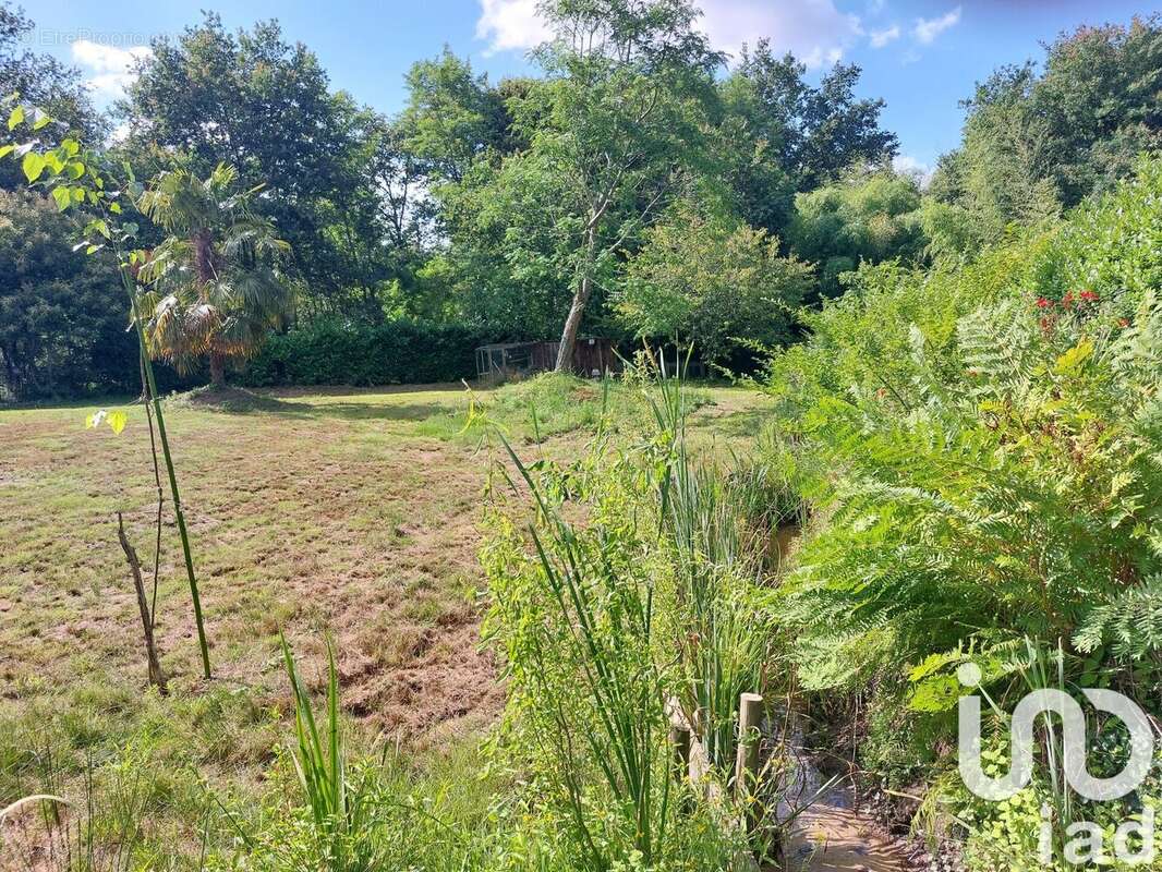 Photo 5 - Terrain à SAUGNAC-ET-CAMBRAN