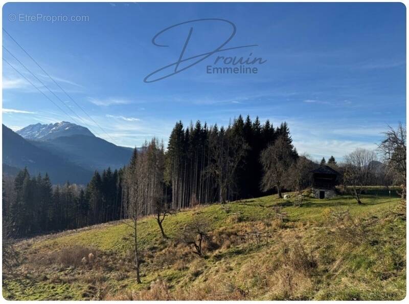 Terrain à ARACHES-LA-FRASSE