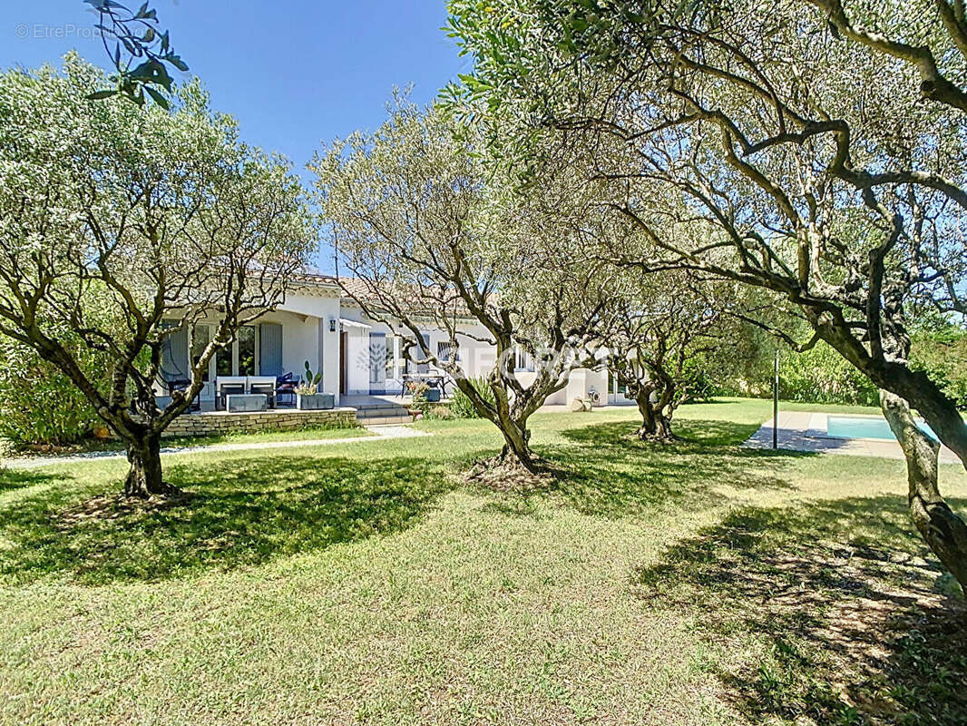 Maison à CARPENTRAS