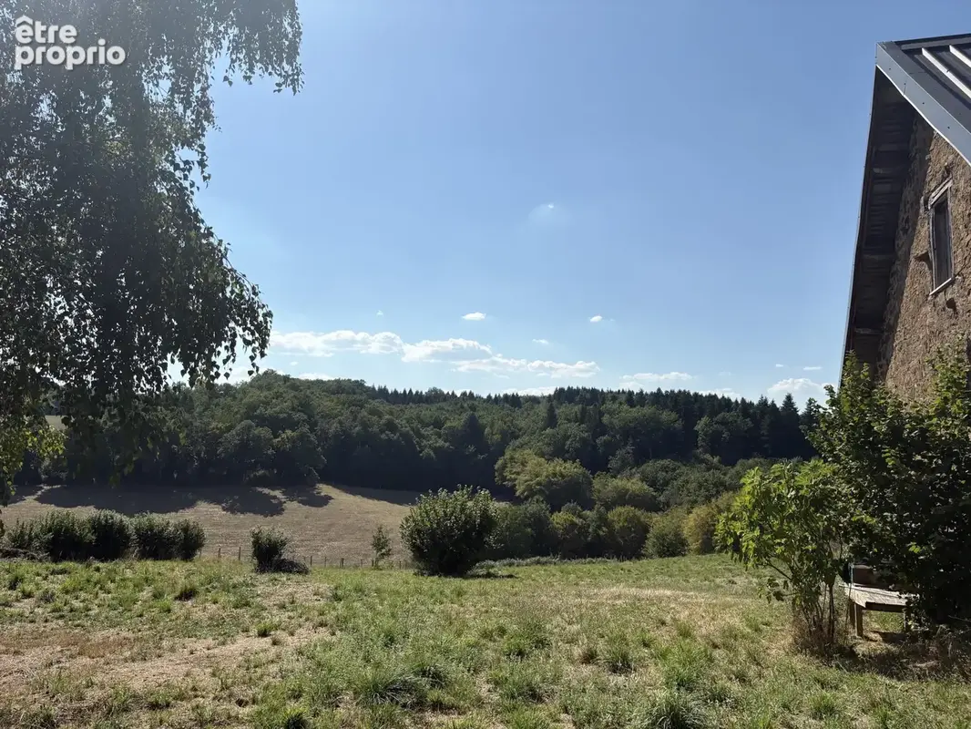 Beyssac : Fermette avec maison d'habitation, grange Auvergnate avec grand espace studio et 1,54 hectares du te - photo 17